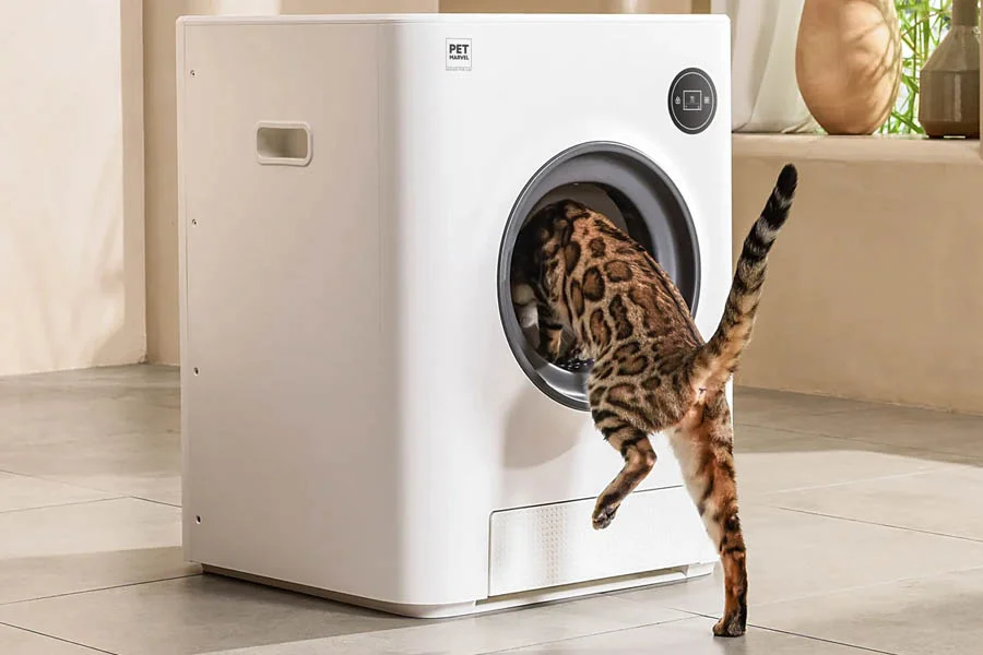 self cleaning cat litter box reviews